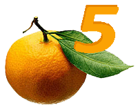 Orange5 Programmer SW : ST92Fxxx